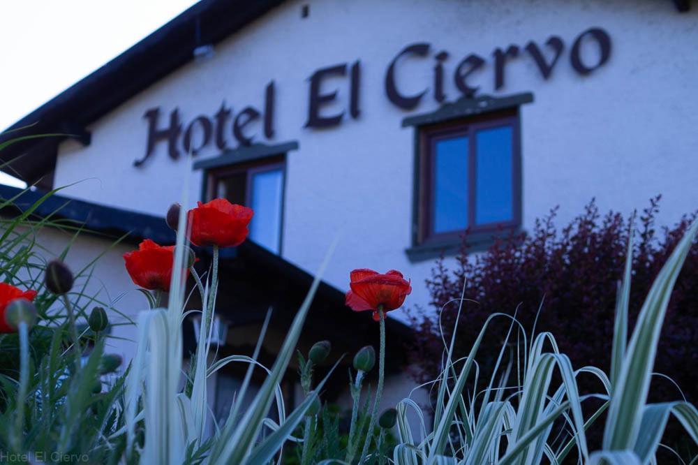 Hotel El Ciervo Вилярика Екстериор снимка